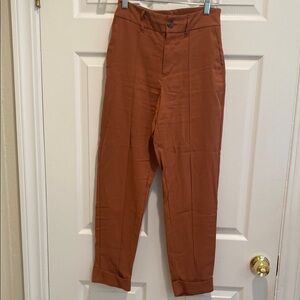 Target burnt sienna Chinos Straight-Leg Pants